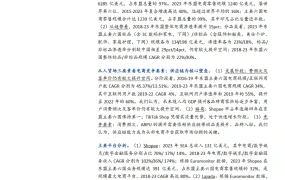 东南亚电商市场深度研究报告：渗透率提升与竞争格局分析-24页