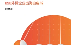2024年B2B外贸企业出海白皮书-32页