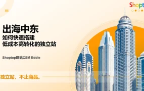 中东跨境电商独立站建站与运营全攻略-59页