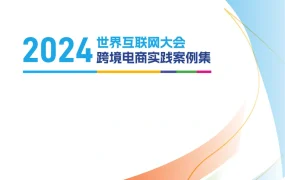 世界互联网大会跨境电商实践案例集2024-31页