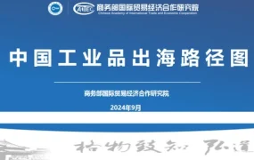 中国工业品出海路径图-36页