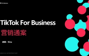 TikTok For Business营销通案跨境电商指南-38页