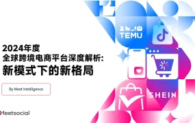 2024年度全球跨境电商平台深度解析报告-48页