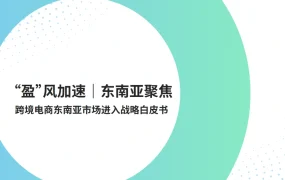 跨境电商东南亚市场进入战略白皮书-14页