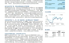 潮玩国货全球市场拓展策略与投资价值分析-43页