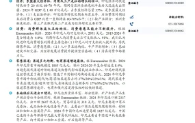 东南亚国别消费研究：印度尼西亚—区域最大的多元消费市场-23页