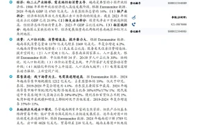 东南亚国别消费研究越南人口红利期消费高增长-27页