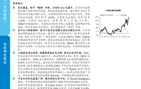 情感共振驱动社交裂变专精垂深破局品牌出海-15页