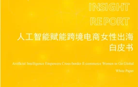 人工智能赋能跨境电商女性出海白皮书-35页