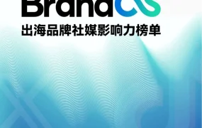 2025Q1BrandOS出海品牌社媒影响力榜单及营销趋势报告-27页