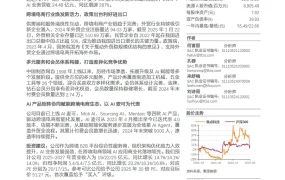 焦点科技跨境电商AI应用与组织变革分析报告-22页