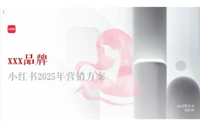母婴品牌小红书2025年营销方案-46页