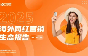 2025海外网红营销生态报告-100页