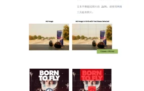 Facebook广告创意设计与投放优化指南-16页