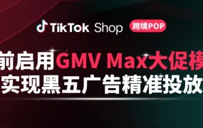 官方活动｜TikTok Shop黑五GMV Max全量应用 广告激励最高返60%