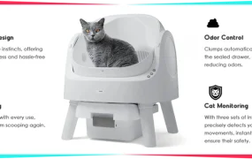 卖家故事｜PetPivot自动猫砂盆TikTok Shop类目第一 7个月GMV破2亿