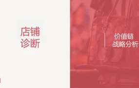 跨境电商店铺诊断与价值链分析实战指南-31页