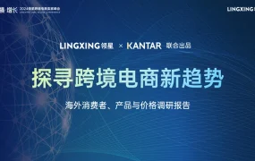 2024年海外消费者产品与价格调研报告-42页