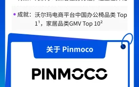 卖家故事|Pinmoco家居品牌28天广告销售额18.6万美金