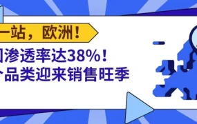 市场趋势｜法国消费密码解析：汽摩配年规模141亿$，收藏品年轻买家年消费637€