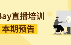 官方活动｜eBay联合TFS推出“卖家经营资金”贷款方案 助力卖家抢占市场机遇