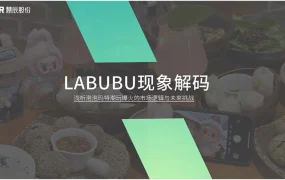 泡泡玛特Labubu潮玩爆火的市场逻辑与跨境电商启示-17页