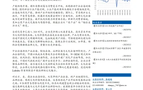 企业出海的历史进程与文化出海战略-29页