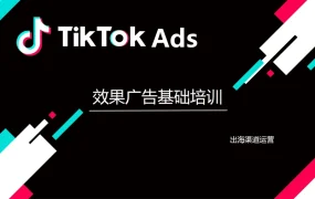TikTok效果广告投放与优化全攻略-34页