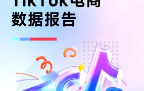 2024上半年TikTok电商数据报告-74页