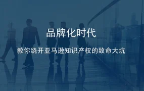 亚马逊知识产权避坑指南与选品策略-33页