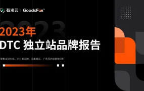 2023年DTC独立站品牌运营与市场趋势报告-57页