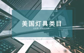 美国灯具类目亚马逊运营推广实战指南-15页