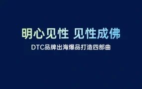 DTC品牌出海爆品打造四部曲-29页