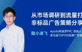 从市场调研到流量打造非标品广告策略分享-37页