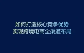 跨境电商全渠道布局与供应链优化实战指南-18页