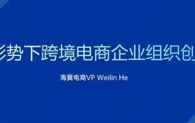 跨境电商企业组织能力构建与创新实战指南-25页