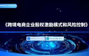 跨境电商企业股权激励模式与风险控制指南-42页