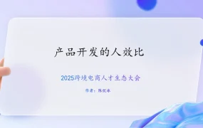跨境电商产品开发与团队管理全攻略-25页