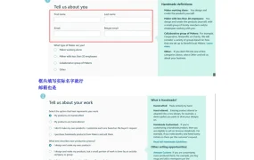 亚马逊手工类目申请流程指南-3页