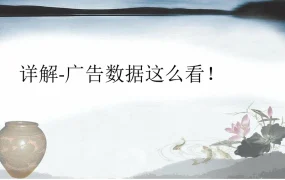 跨境电商广告数据分析与优化指南-20页
