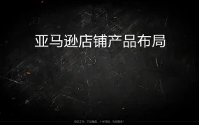 亚马逊店铺产品布局策略指南-20页
