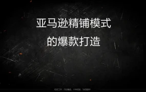 亚马逊精铺模式爆款打造实战指南-21页