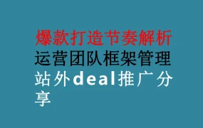 跨境电商爆款打造与运营团队管理全攻略-50页