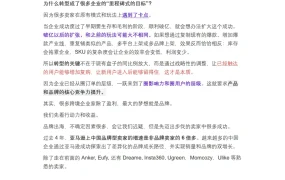 GMV突破10亿跨境电商品牌站外推广策略与案例解析-5页