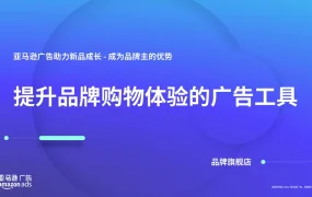 亚马逊品牌旗舰店广告工具使用指南-22页