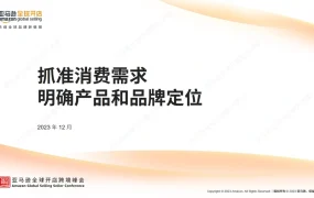 亚马逊跨境电商选品与品牌定位策略指南-402页