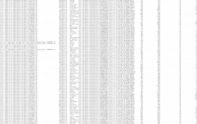 亚马逊Top 1000评论者分析报告-1000行-1个子表