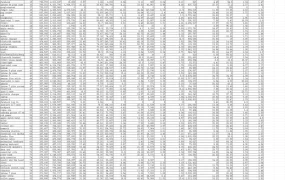 亚马逊月度关键词数据报告-20001行-1个子表