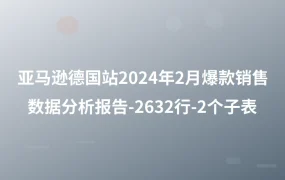 亚马逊德国站2024年2月爆款销售数据分析报告-2632行-2个子表