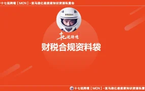 跨境电商财税合规全攻略-13页